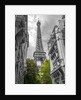 Eiffel Tower, Paris by Assaf Frank